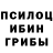 Псилоцибиновые грибы Psilocybine cubensis Kanzada Kanzada