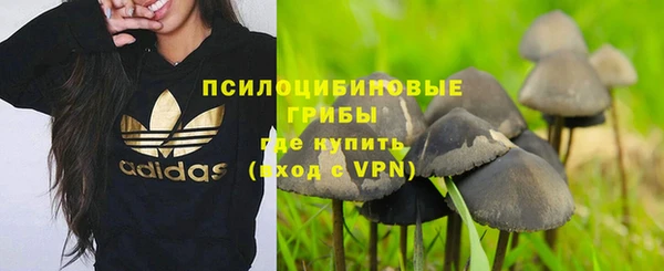 ешки Белокуриха