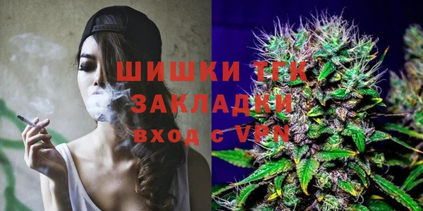 индика Белоозёрский