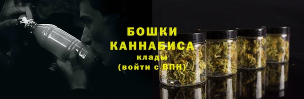 индика Белоозёрский