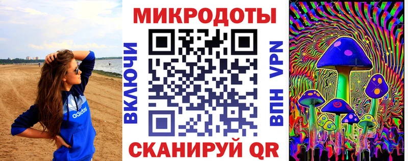 Псилоцибиновые грибы Psilocybe  Углич 